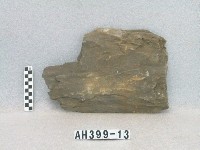 藏品(板棺側板)的圖片